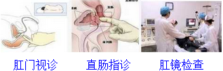 ż鷽